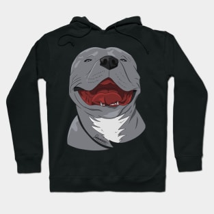 Happy Pitbull Hoodie